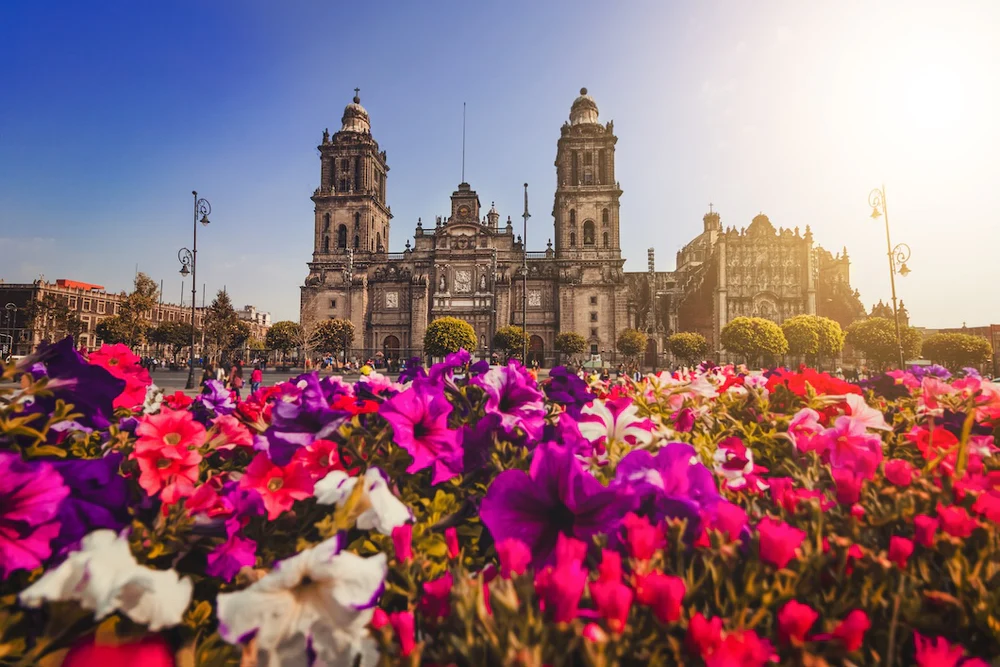Modern Soul, Traditional Mexican Roots
